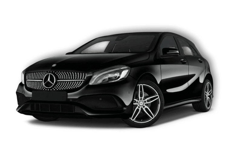 Mercedes Larus Car Service